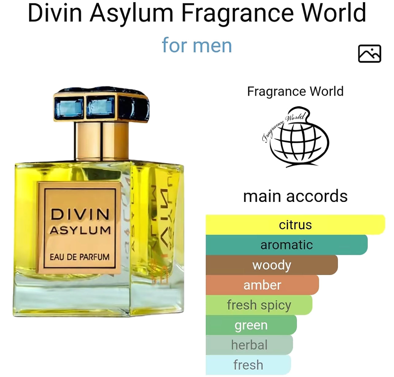 DIVIN ASYLUM Eau de Prfum